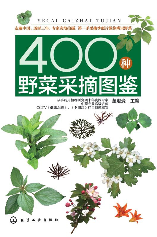 400种野菜采摘图鉴 (董淑炎)