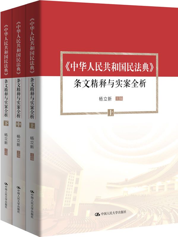 《中华人民共和国民法典》条文精释与实案全析（套装共3册）》杨立新