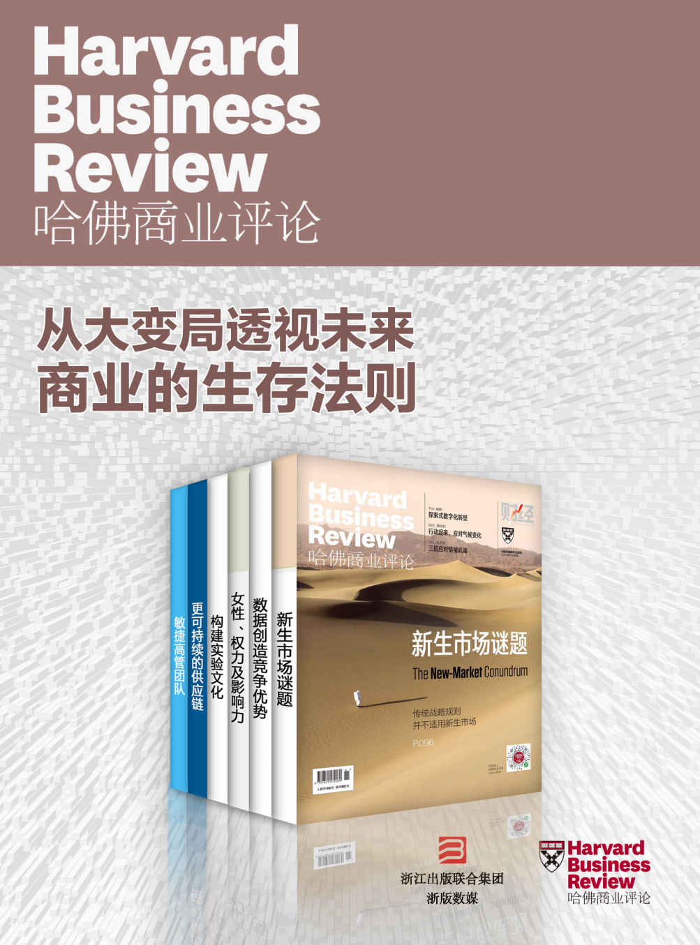 《哈佛商业评论·从大变局透视未来商业的生存法则【精选必读系列】（全6册）》哈佛商业评论