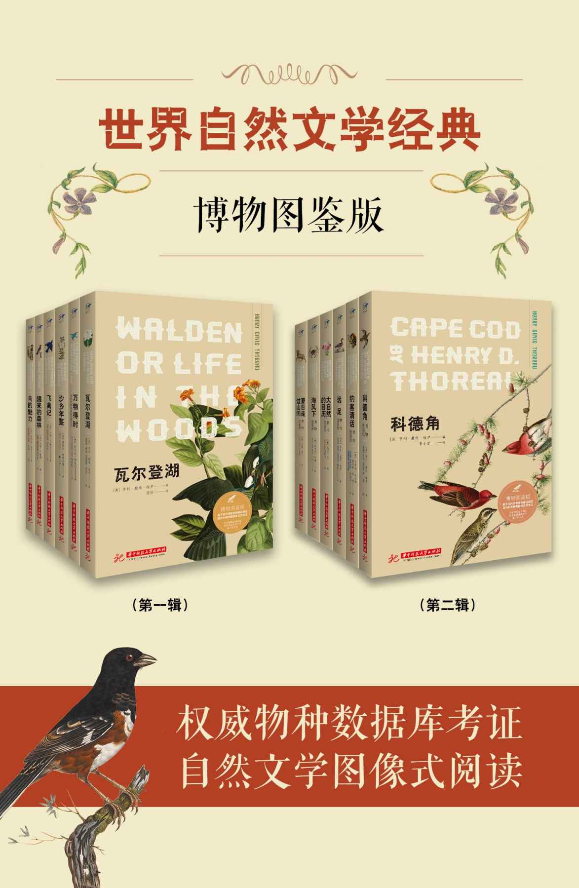 《世界自然文学经典：博物图鉴版(共12册）》（英）伊迪丝·霍尔登 & 等