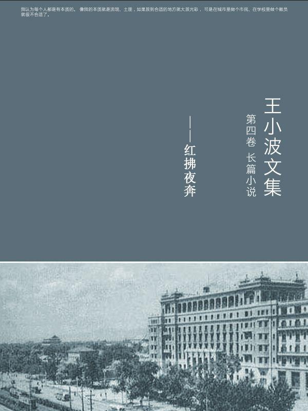 《王小波文集.第四卷》王小波