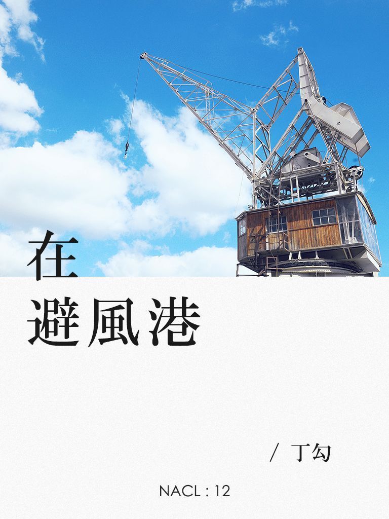 《在避风港：知乎丁勾自选集 (知乎「盐」系列)》丁勾 & 知乎