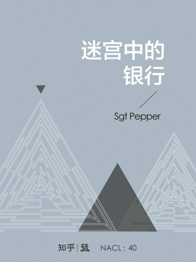 《迷宫中的银行：知乎 Sgt Pepper 自选集 (知乎「盐」系列)》Sgt Pepper & 知乎